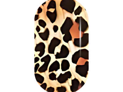 Wild Cat